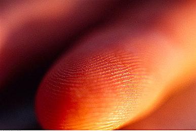 《碧蓝幻想：Relink》科隆展6分钟实机视频展示